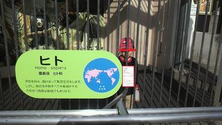 面白い檻があります By Jordan 静岡市立日本平動物園のクチコミ フォートラベル 面白い檻があります By Jordan 静岡市立日本平動物園のクチコミ フォートラベル