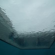 スイミング・プールを地下より見上げる