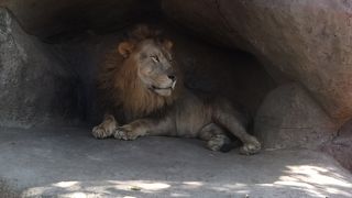 バリ島にあるサファリ・パーク