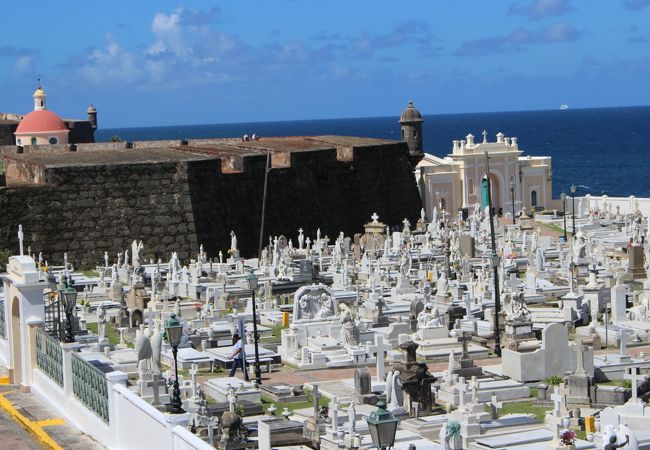 海を見下ろす場所にある墓地