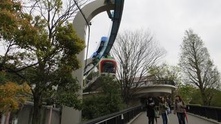 パンダも元気　ハシビロコウもかわいい　上野動物園