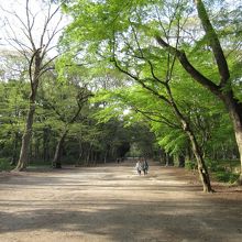 やぶさめが行われる側道