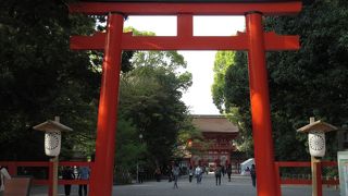 糺ノ森の奥に佇む静かなお社。