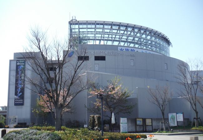 世界淡水魚園水族館アクア トトぎふ