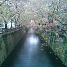 葉桜でしたがなかなかいい風景でした