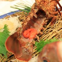 このオレンジなのが伊勢エビの卵