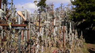 リトアニアの象徴的な聖地である「十字架の丘」です。
