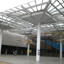 大阪市立自然史博物館