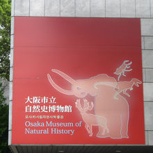 大阪市立自然史博物館