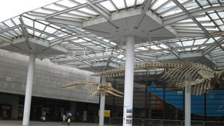 見ごたえのある博物館