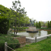 大阪市内の広大な公園