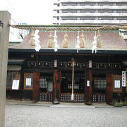 「アカエイ」を神使する神社