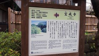 桜も美しかったです