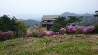 お城好き、名城めぐりの方にお勧めです