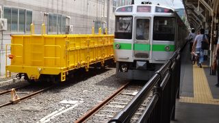 快速エアポートの１つの終点は小樽です。 