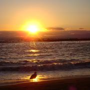 駅から200ｍ、前浜の夕日