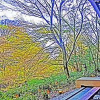 大浴場から見晴らす須雲川流域の風景