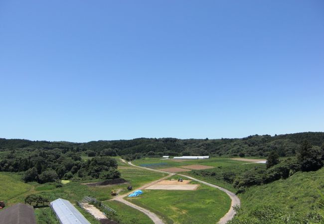 東京至近距離！絶品有機野菜の朝市と自然豊かな農場ツアー　木更津の家族・子連れ向けファーム