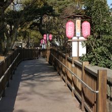 観光交流センター近くです。