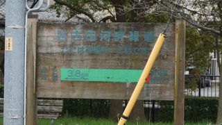 越谷って水郷の街なんですね