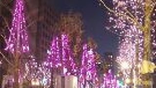 長くなりました