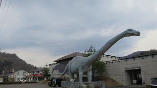 草食獣VS肉食獣のバトル化石が大迫力！！