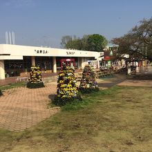 あしかがフラワーパークが近いですね