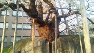 歴史が感じられます。