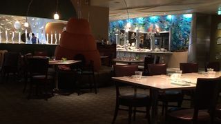 シーのショーも見れる