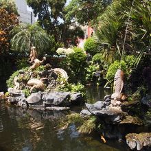  中には立派な池が広がっていました