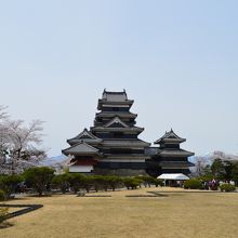 400年の歴史を誇る国宝のお城です。桜がきれいでした。