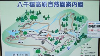 散策に良いところです