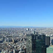 展望室から西方を望んでいます。中野サンプラザが見えます。