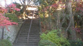 八坂神社まで行きました
