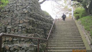 徳島中央公園の城山が徳島城址です。