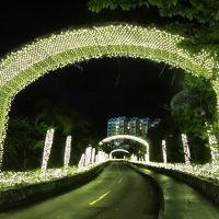 入り口の坂です