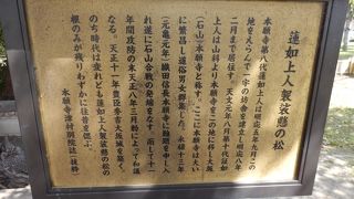 大坂(石山)本願寺は松の根だけが往昔を偲ぶ