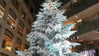 クリスマスツリーは圧巻でした