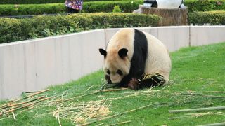 海から山までの総合動物園