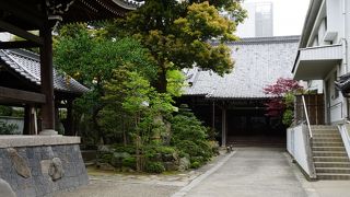 山門から中をのぞくだけ