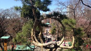 名所江戸百景!!