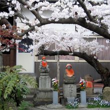 桜の下に鎮座するお地蔵さんです