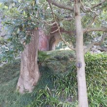 レンガ造りのトンネル