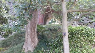 金沢城公園内の明治の陸軍施設