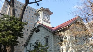 札幌といえば！