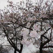 紫波町史跡、高水寺城跡