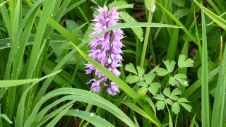 沼山峠を超えたら