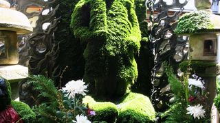 苔むした水かけ不動さん