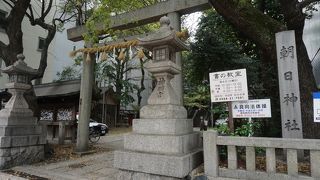 徳川家康に嫁いだ朝日姫の氏神様