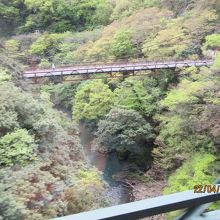 列車からの絶景